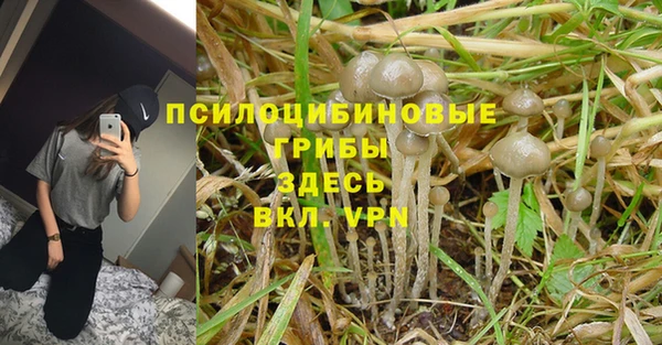 Альфа ПВП Балахна